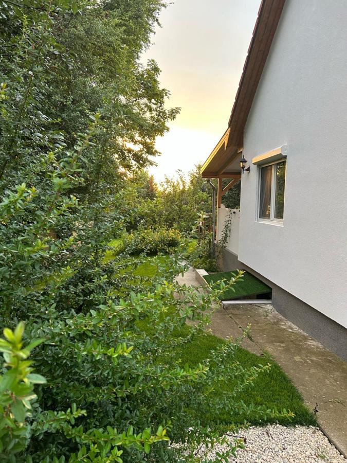 Kisvirag Vendeghaz Balatonvilágos Exterior foto