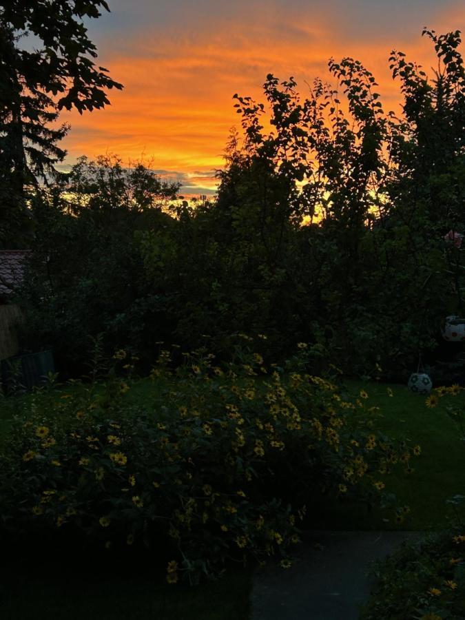 Kisvirag Vendeghaz Balatonvilágos Exterior foto
